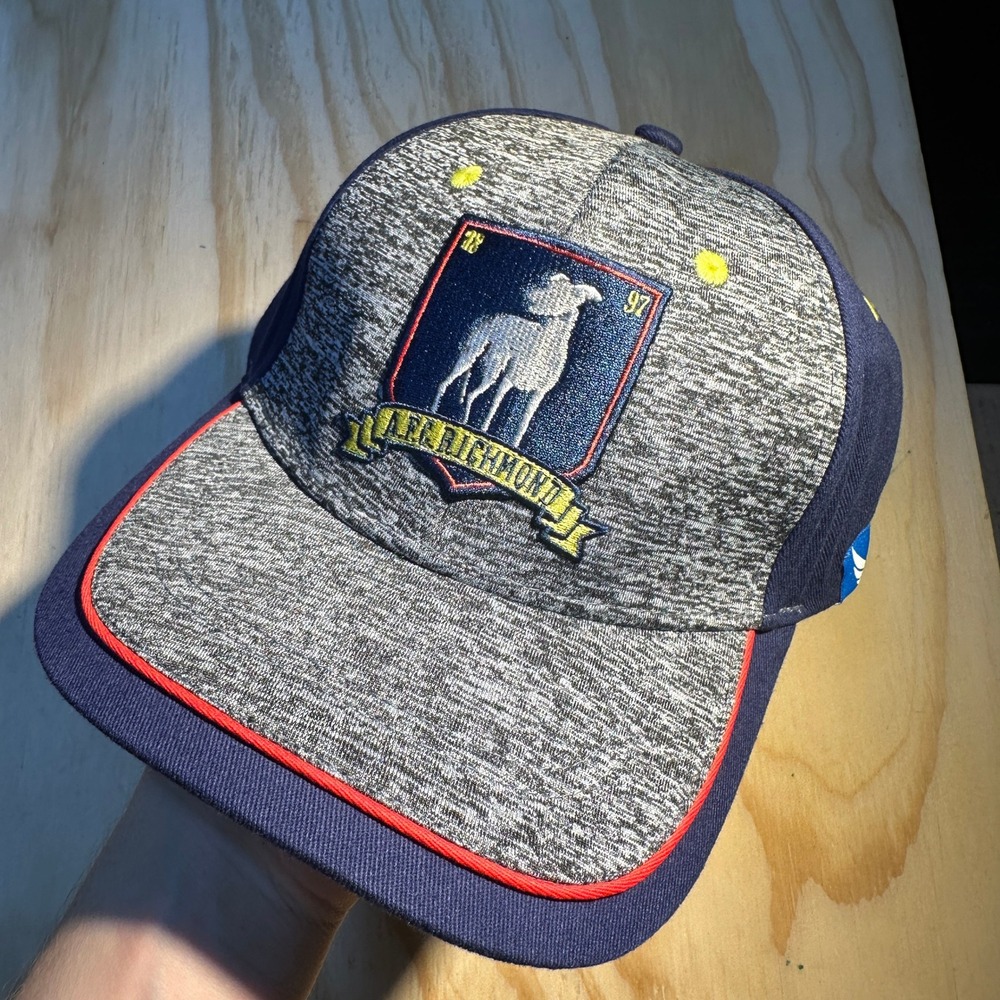 Ted Lasso AFC Richmond Hat Navy Blue Heather Grey Snapback Trucker Cap NEW